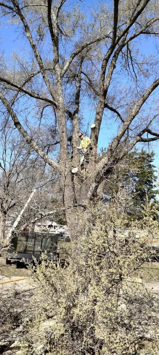 Tree Trimming for J&S Tree Services  in Quitman,  TX