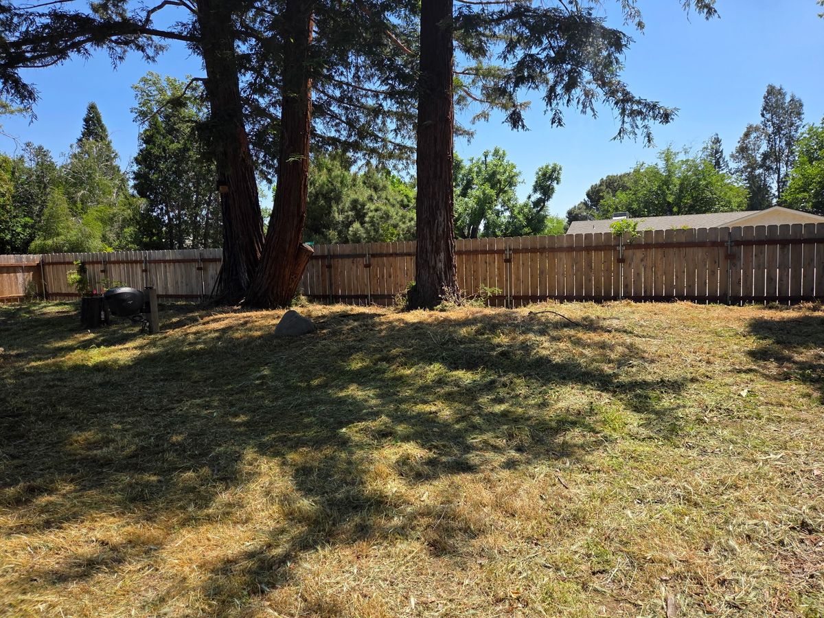 Weed Abatement for Gregg Yard Maintenance in Paradise, CA