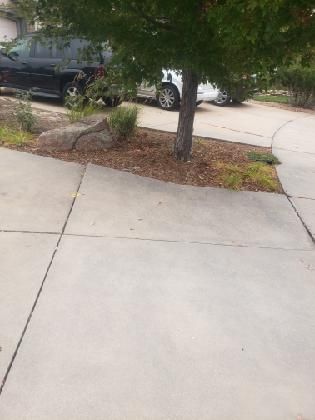 Concrete Driveway Contractors for Co Custom Concrete and Overlays in Colorado Springs, CO