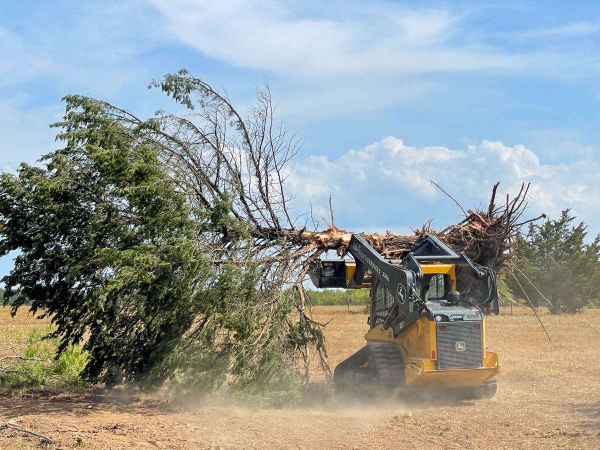 Forestry Mulching for First Call Land Works & Excavation LLC in Putnam County, TN