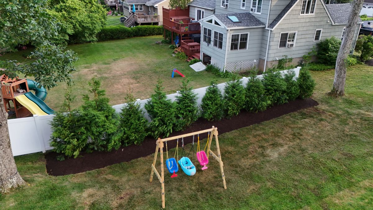 Privacy Plantings for Ace Landscaping in Trumbull, CT