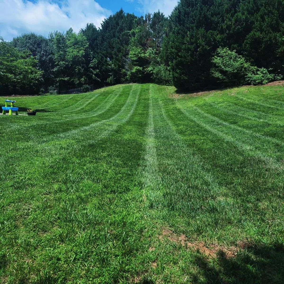 Mowing for Piedmont Lawn and Landscaping in Lexington, NC