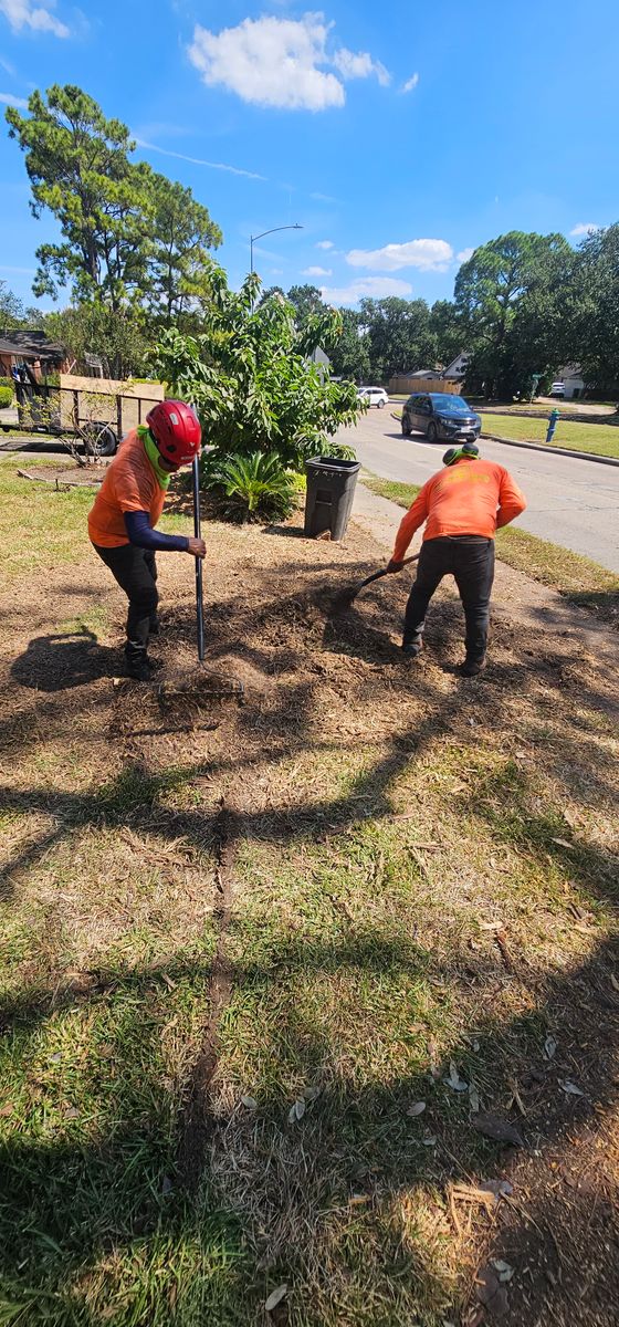 Tree Trimming for Servin's Tree Care  in Houston, TX