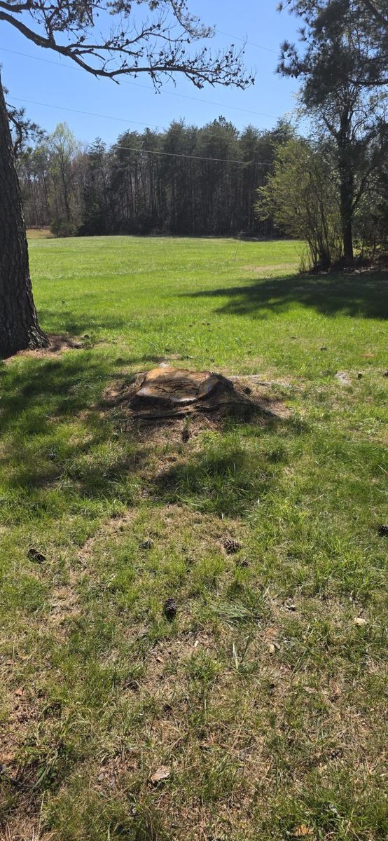 Stump Removal for Hamlett Tree Service LLC in Clover, VA