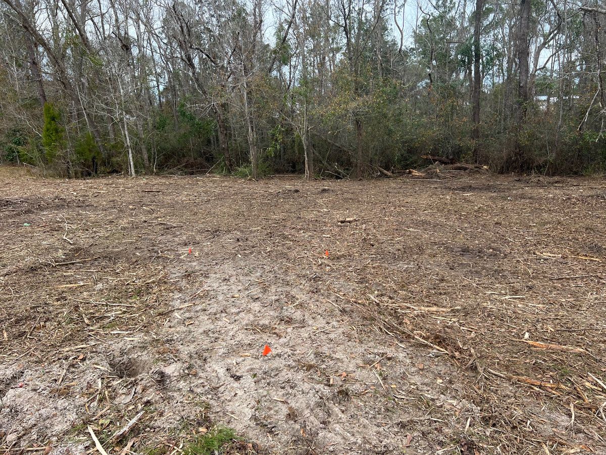 Forestry Mulching for Between The Hedges Landscape & Trucking LLC in Altha, FL