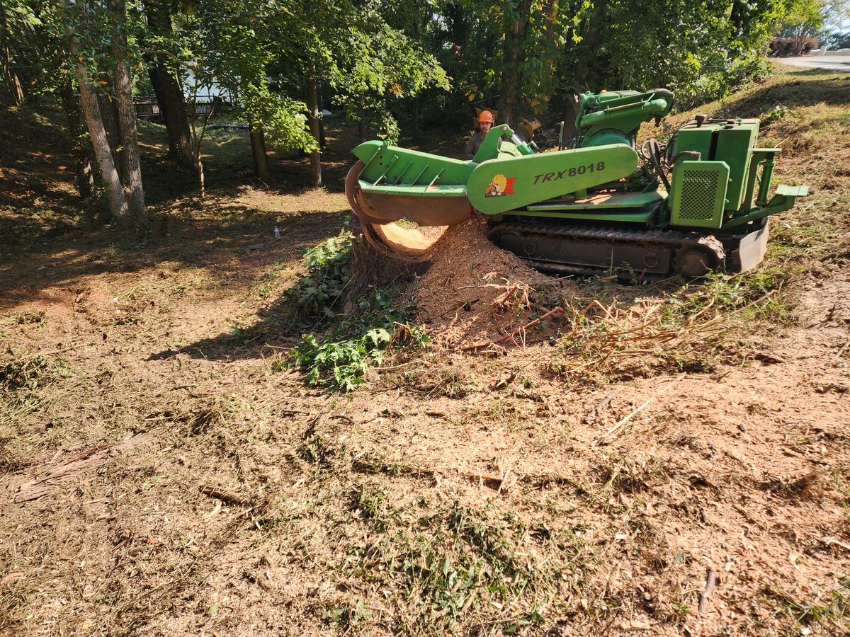 Fall Clean Up for Owens Tree Services in Inman, SC