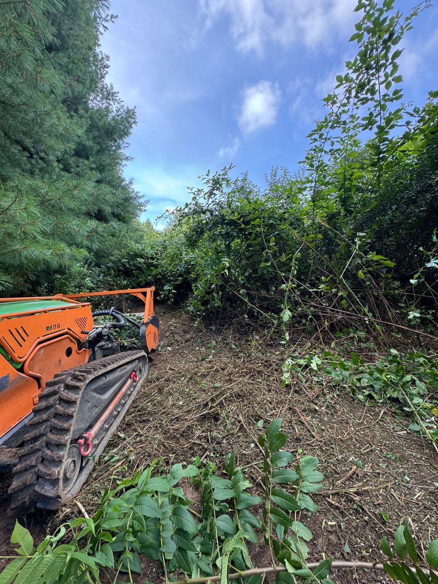 Steep Slope Mowing for Mountain Goat Land Management in Galax, VA