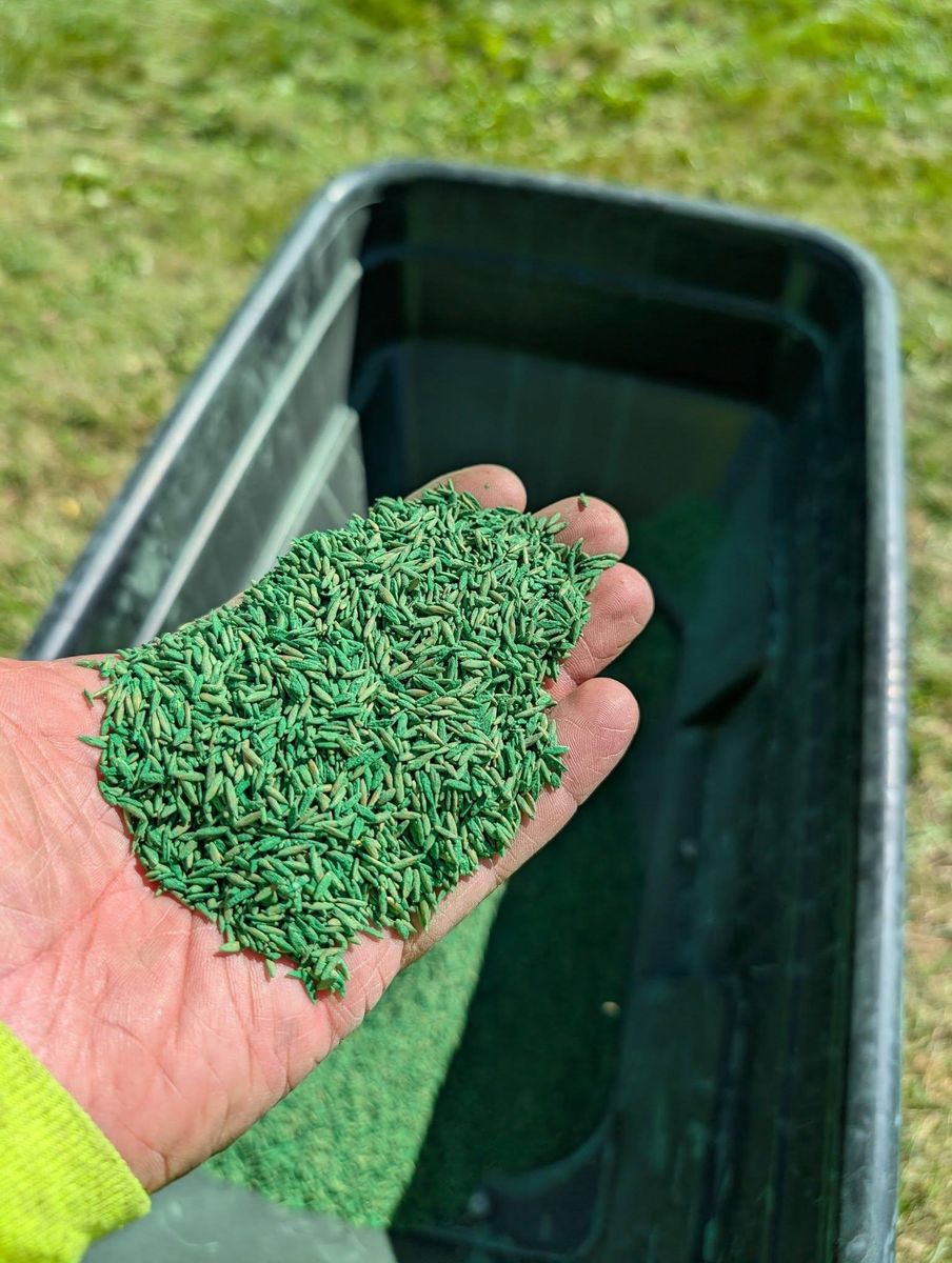 Other Lawn Services for TCB Lawn Care & Snow Removal in Sun Prairie, WI