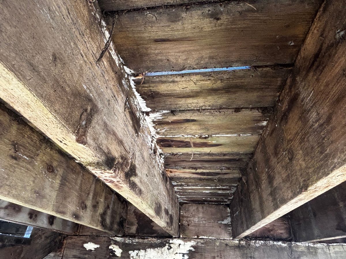 Home Inspections for Lira Home Inspections in Concord, CA