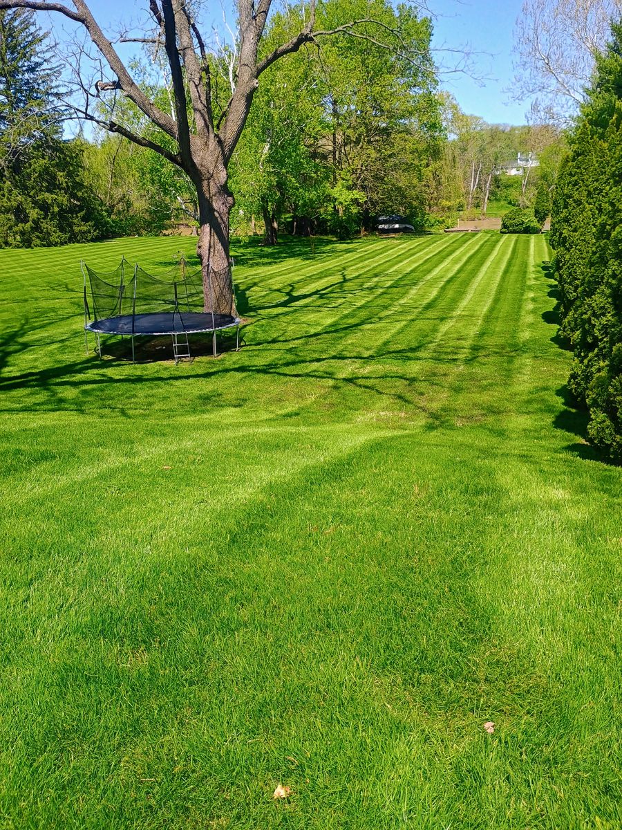 Lawn Care and Maintenance for R&M Lawn Control in Defiance, OH