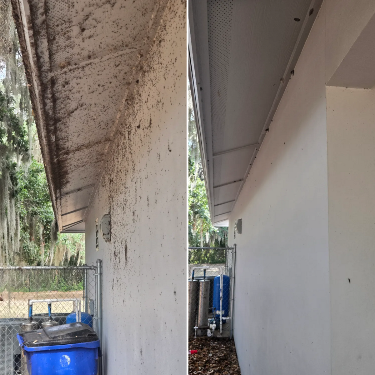 Soft Washing for Above the Lawn Cuts and Pressure Washing in Sebring, FL