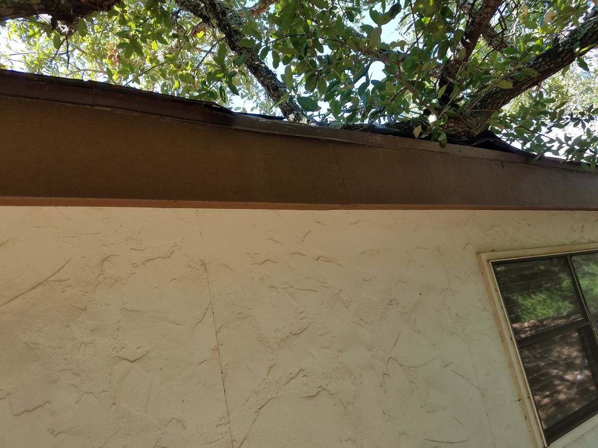 Tree Demossing for 210 Tree Care in San Antonio, TX