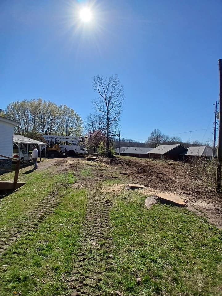 Stump Removal for Puckett's Tree Service in Decatur County, TN