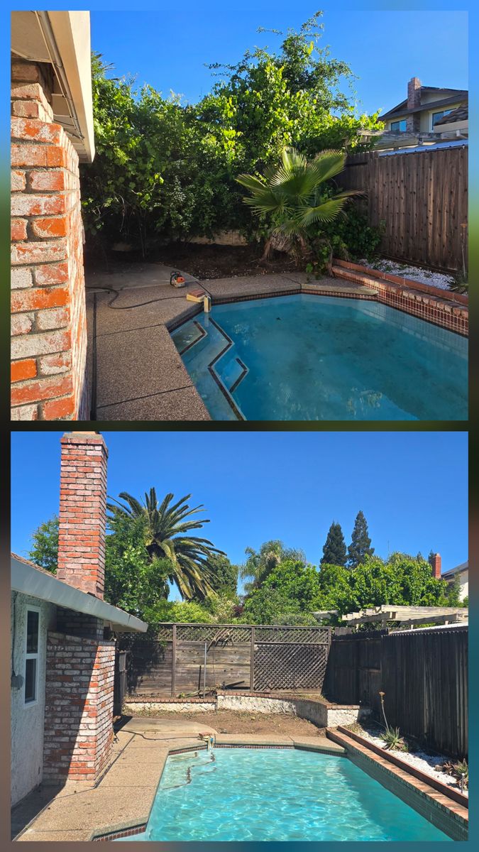 Tree Removal for George Staddan's Professional Tree Care in Placerville, CA