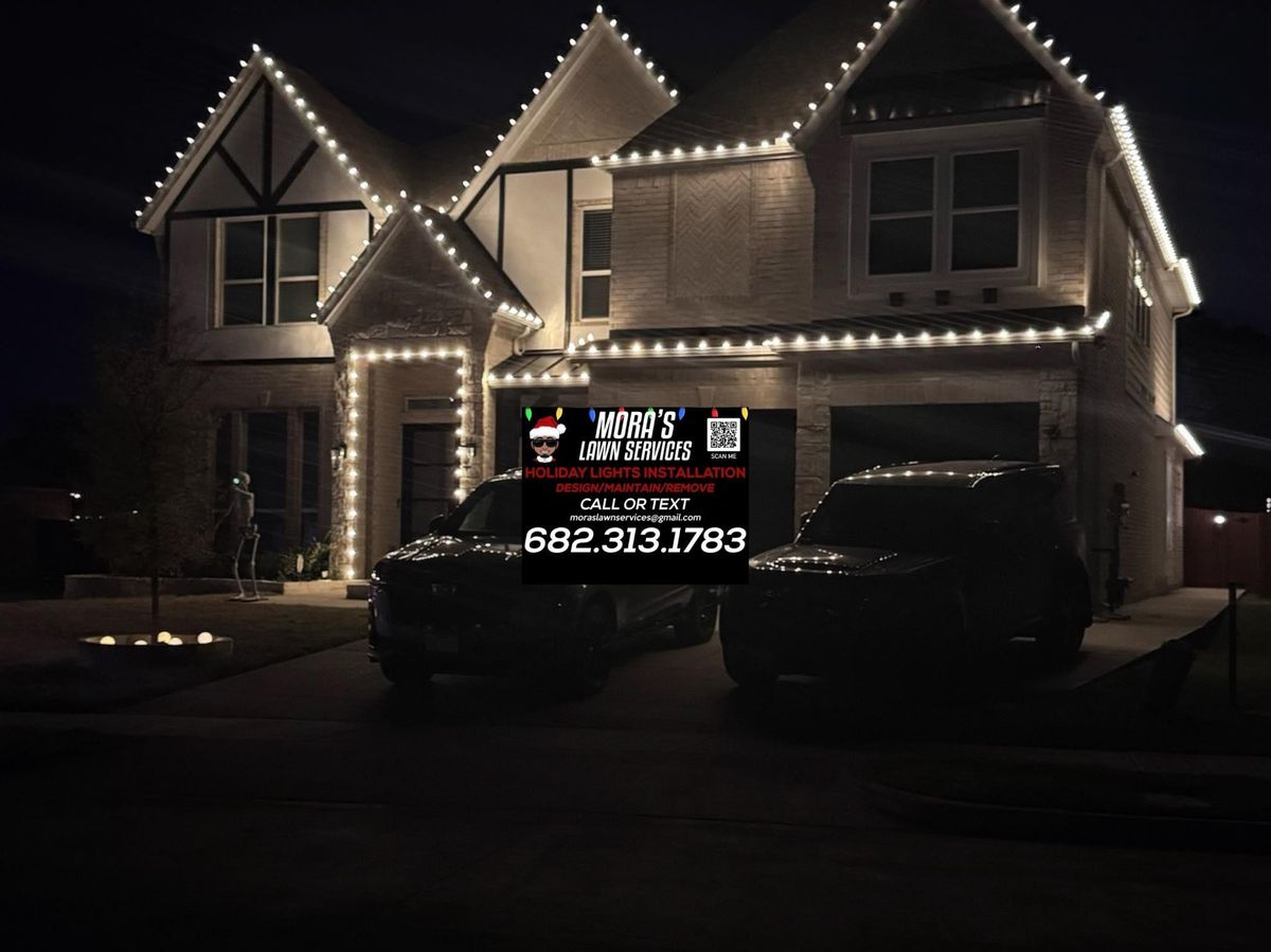 Fall and Spring Clean Up for Mora’s Lawn Services in Crowley,  TX