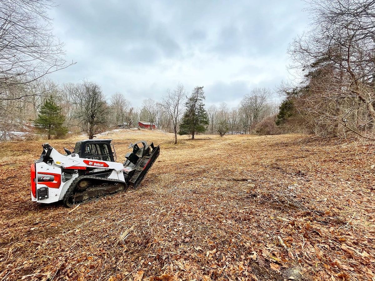 Brush Cutting and Land Clearing for NK Landscaping LLC in Dutchess County, NY