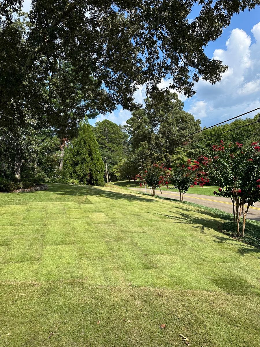 Hardscaping for Hydra-Nomix  in Canton,  GA