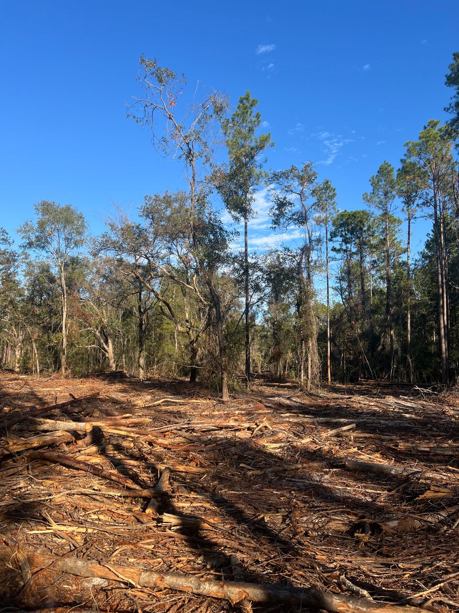 Land Clearing for Bay Hill Development in Nahunta, GA