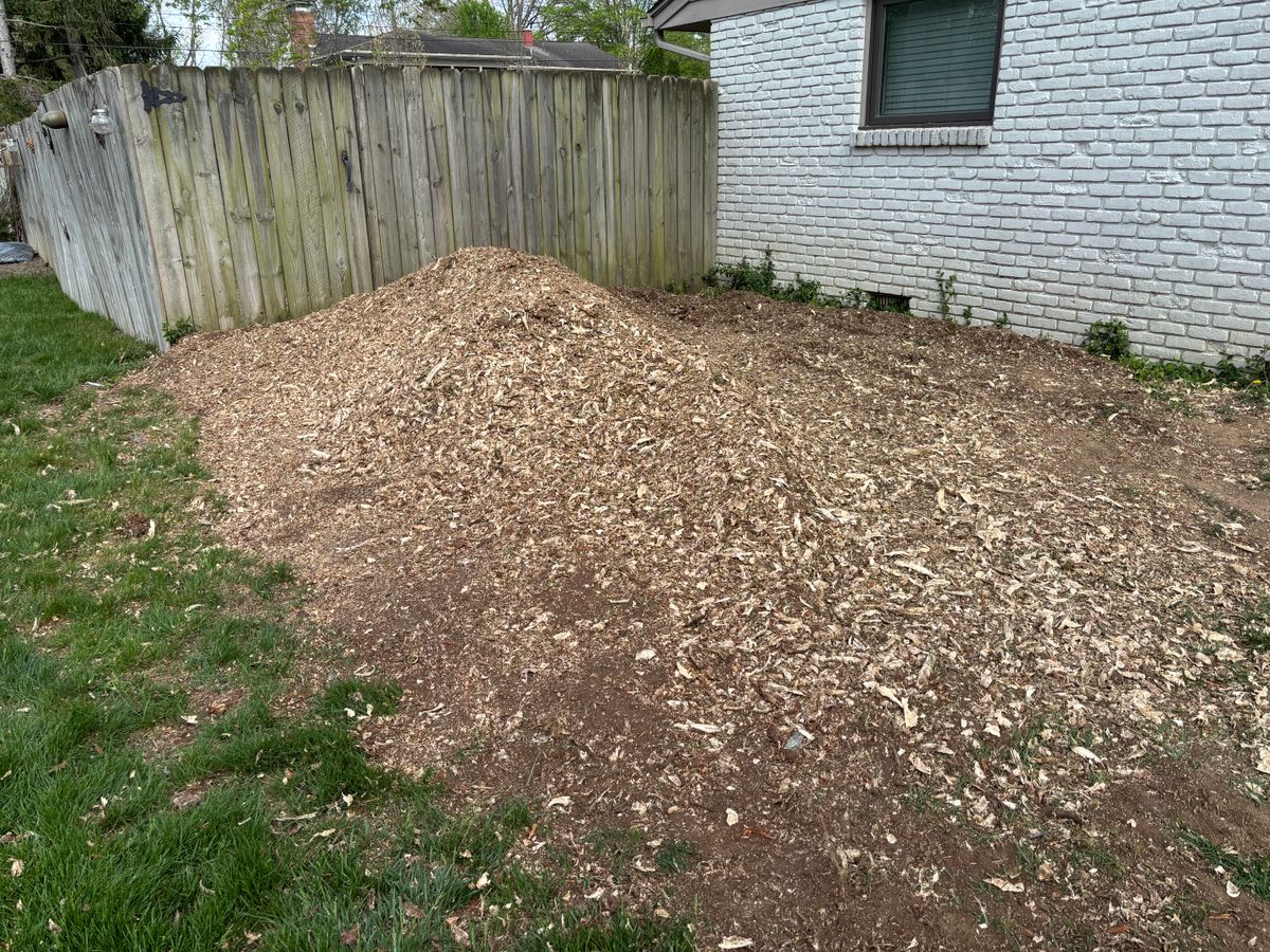 Stump Removal for Conrad's Stump Removal in Columbus, IN