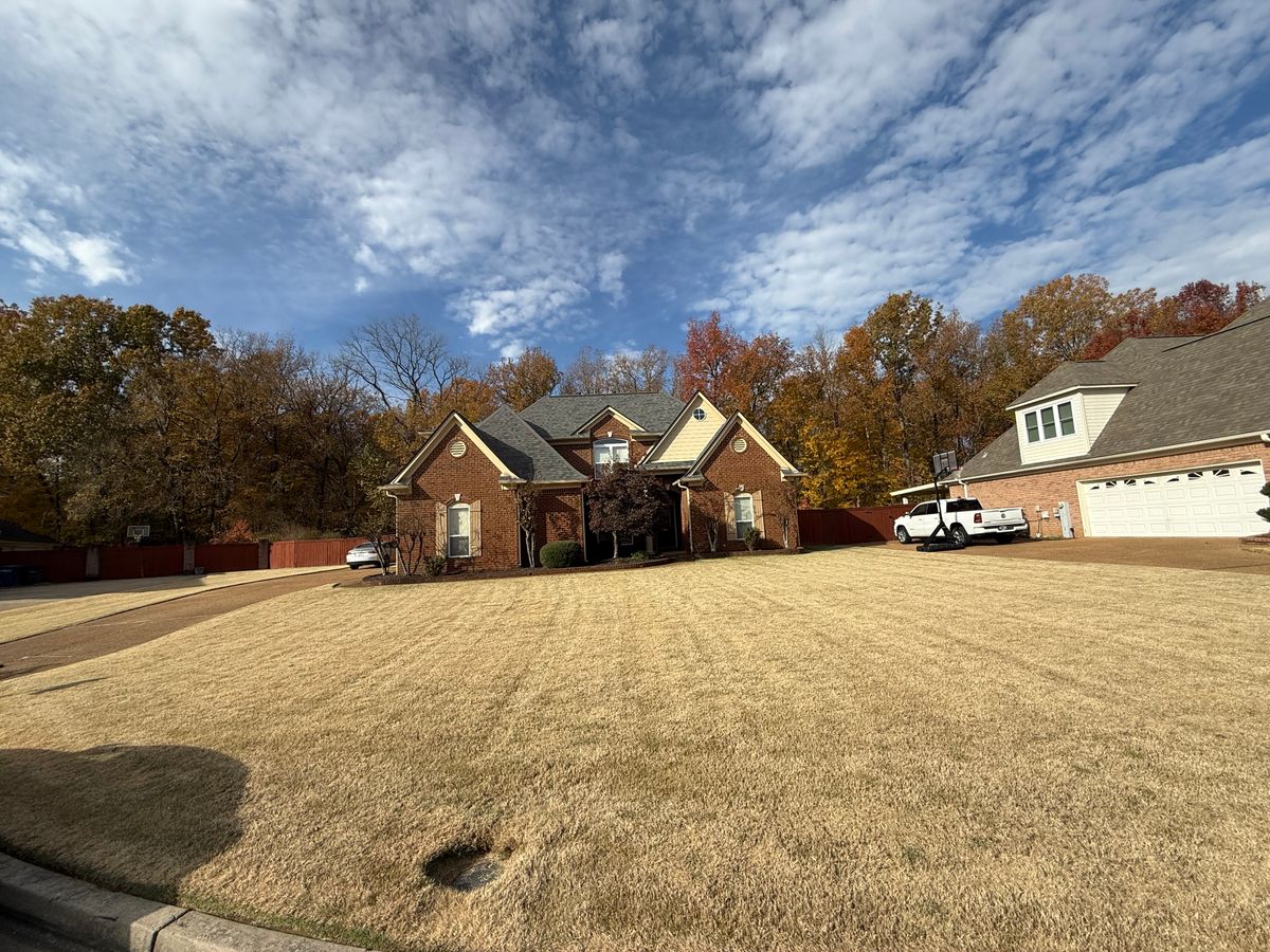 Mowing for Sanchez Z. Landscaping in Memphis, TN