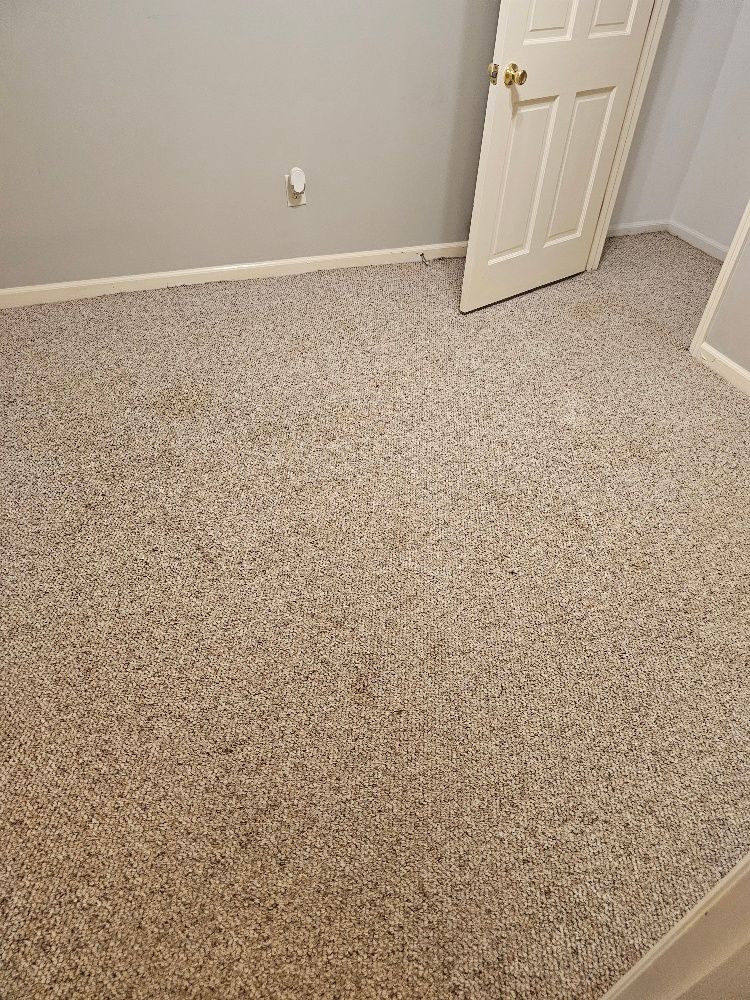 Carpet Cleaning for Brown’s Multi - Service in Macon, Gerogia