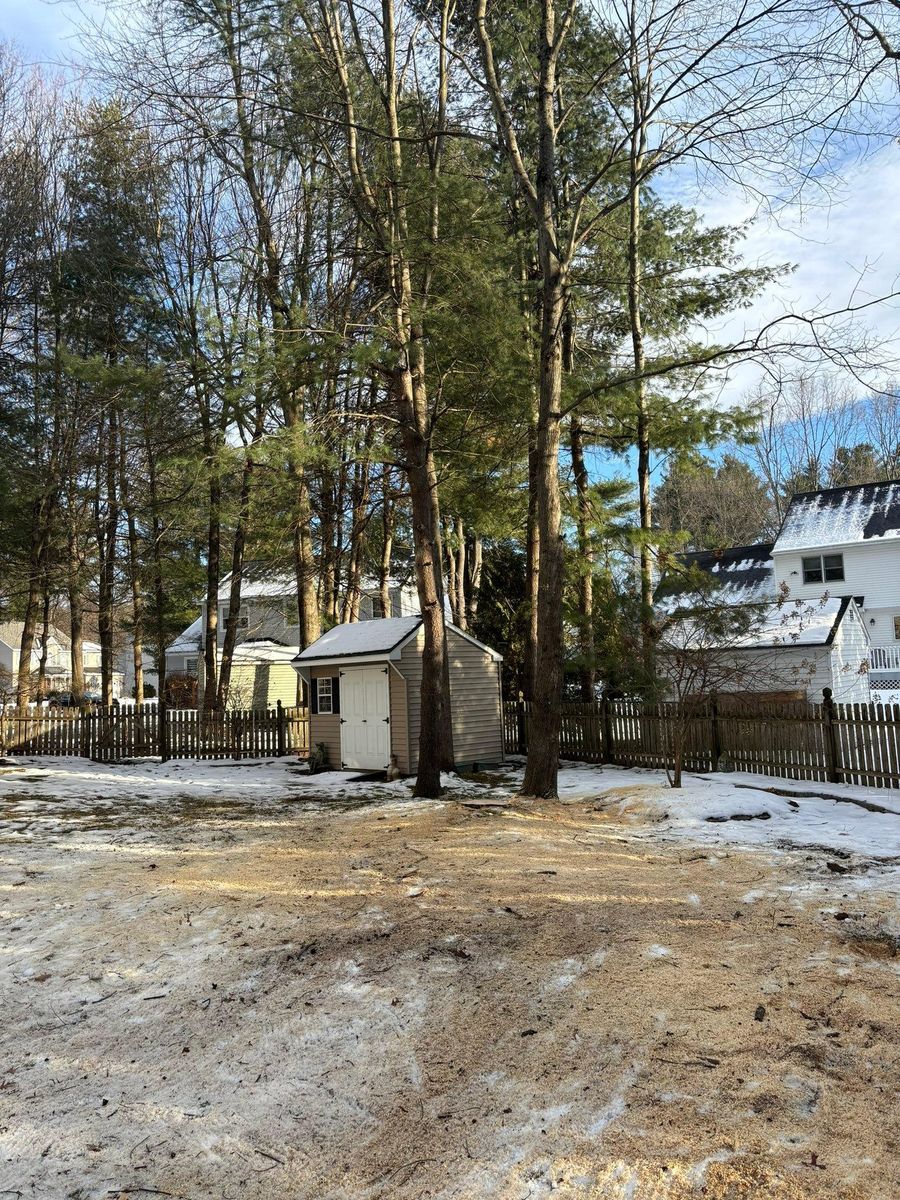 Tree Removal for T's Trees in Albany, NY