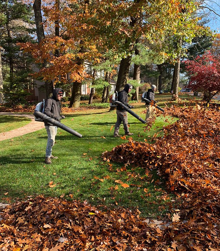 Spring/Fall Clean Up for Blue Ridge Landscape in Polson, MT