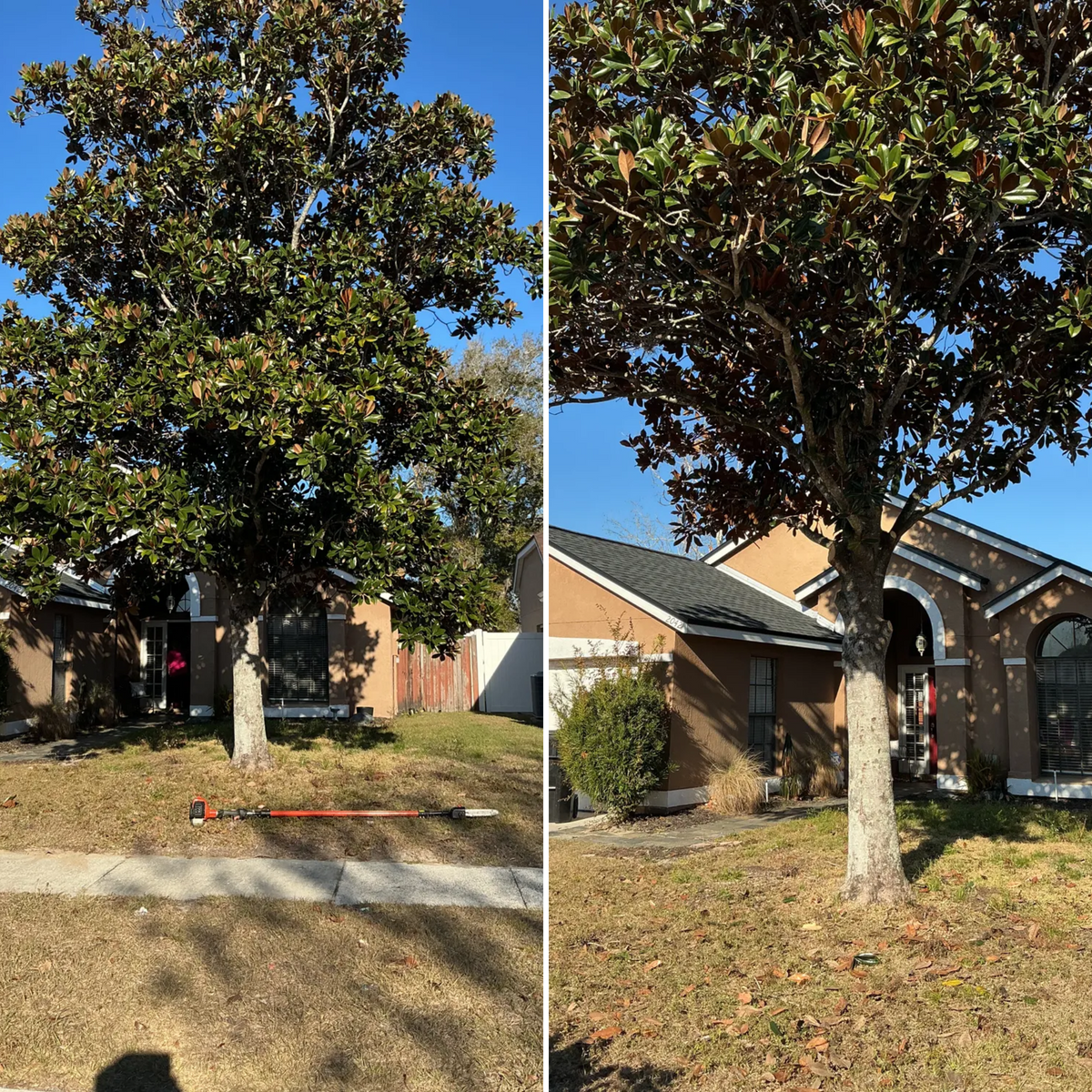 Landscape Installation for Amerigrown Tree And Lawn in Apopka, FL