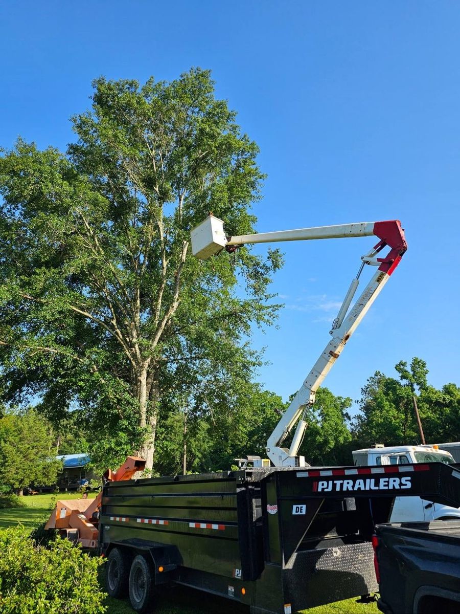 Tree Trimming for Breaktime Tree Trimming & Removal in Oakdale, LA