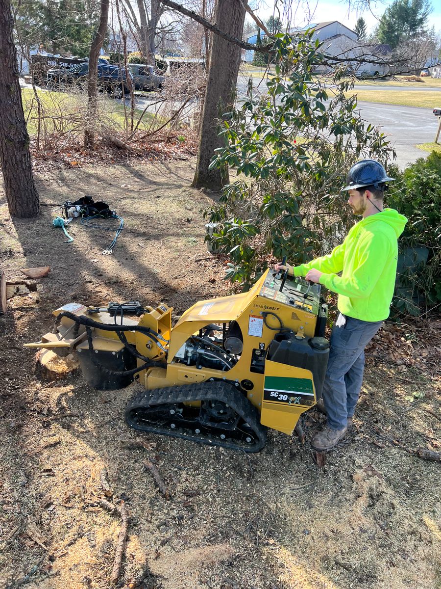 Stump Grinding for Sterlings Tree Removal in Cobleskill, New York