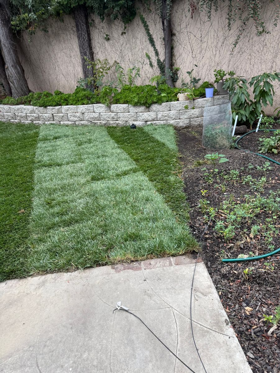 Mulch Installation for CBA Landscaping in Hayward, CA