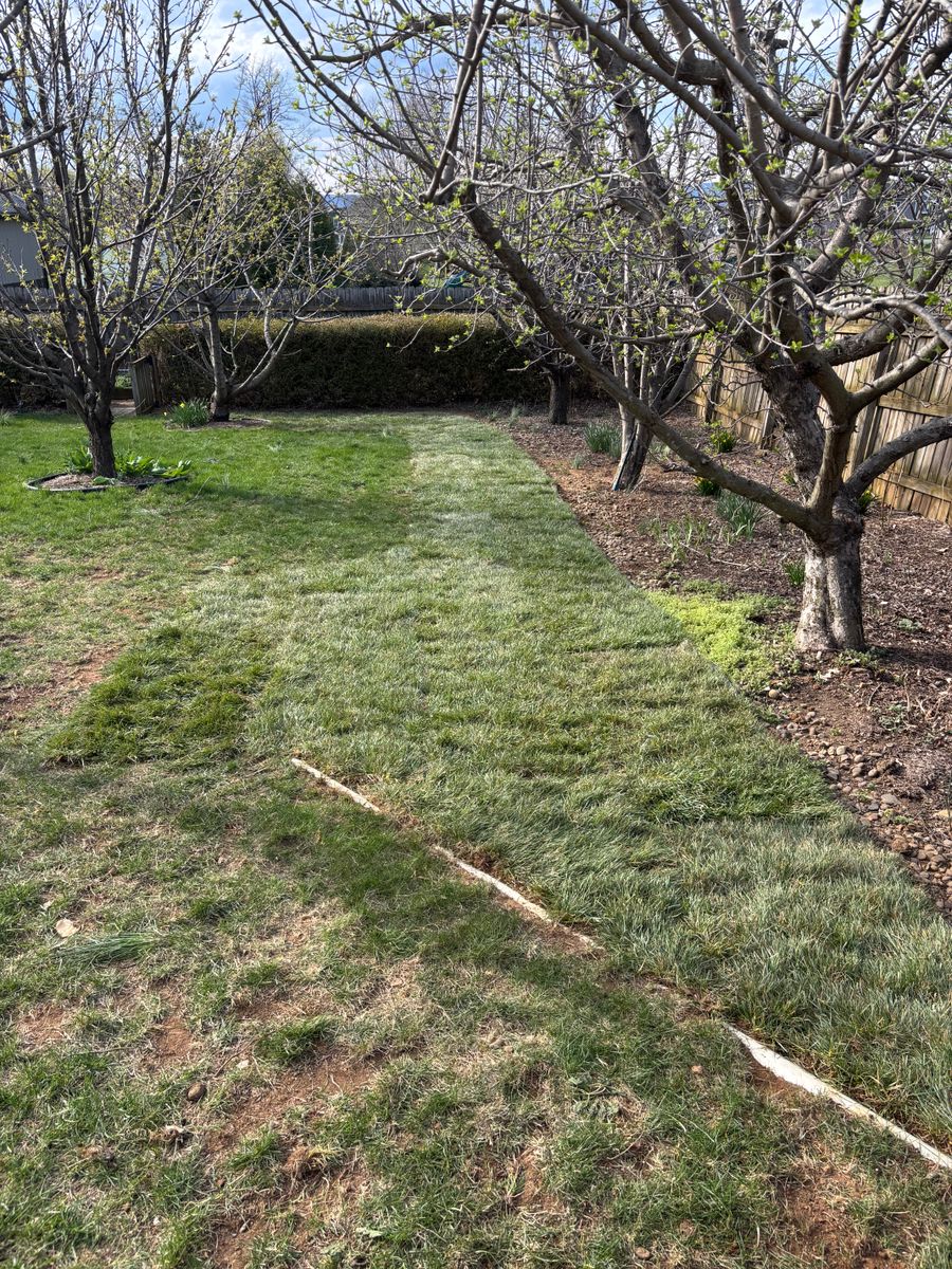 Sod Install for Backyard Acres Lawncare LLC in Chambersburg, PA