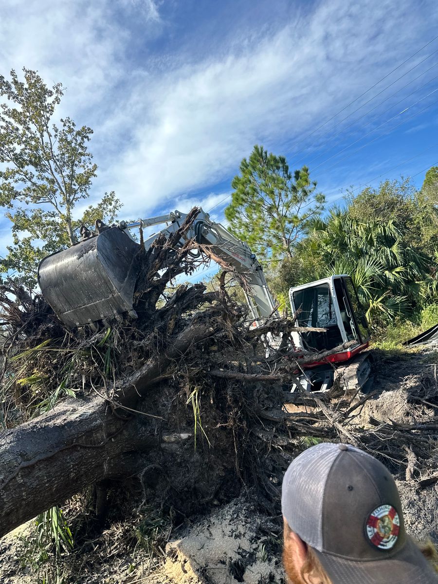 Land Clearing for POZ Property Solutions in Tampa, FL