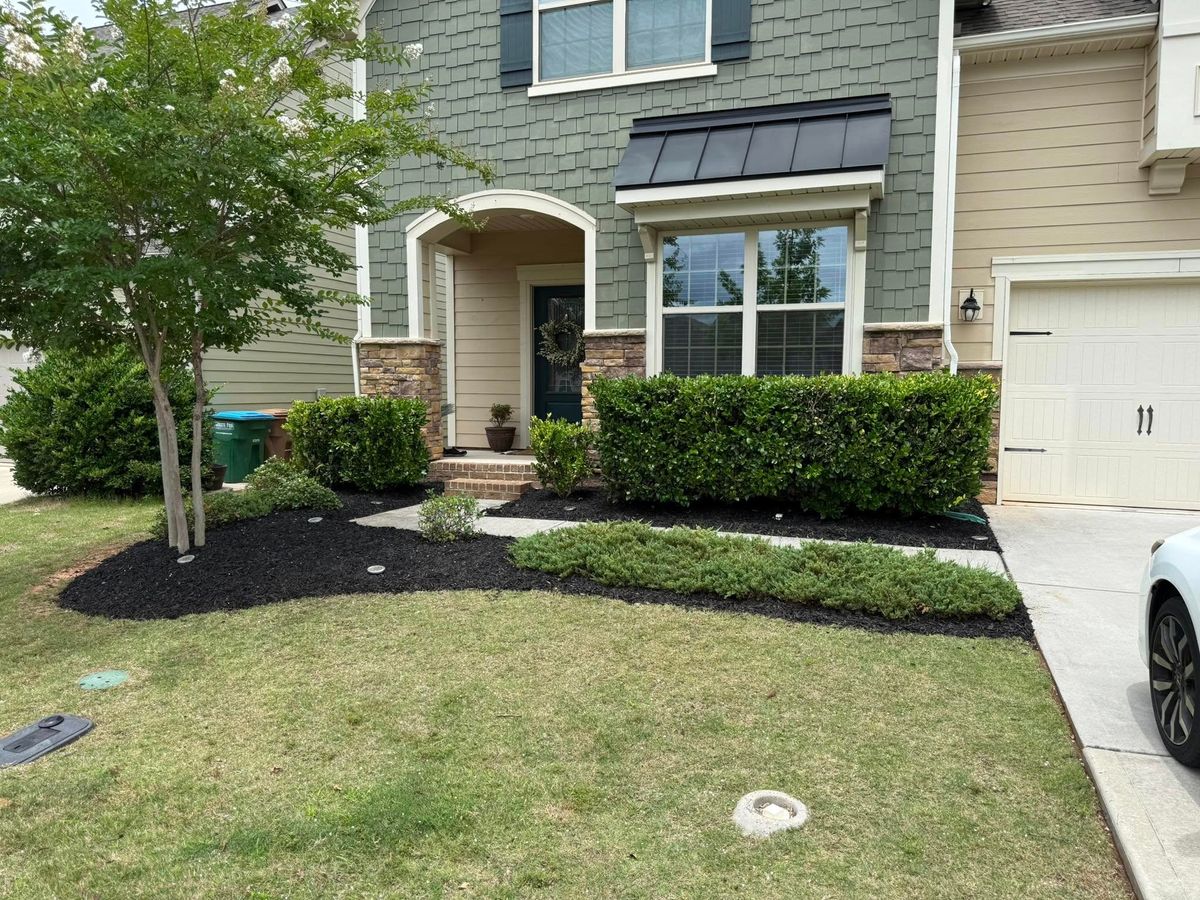 Seasonal Clean-up Services for Blue Sky Turf in Monroe, NC