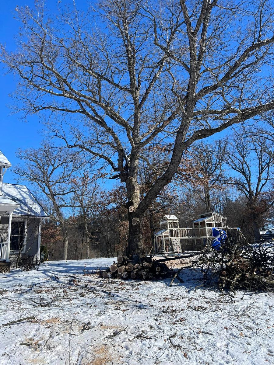 Tree Removal for Hunnicutt’s Tree Service L.L.C. in Monticello, IN