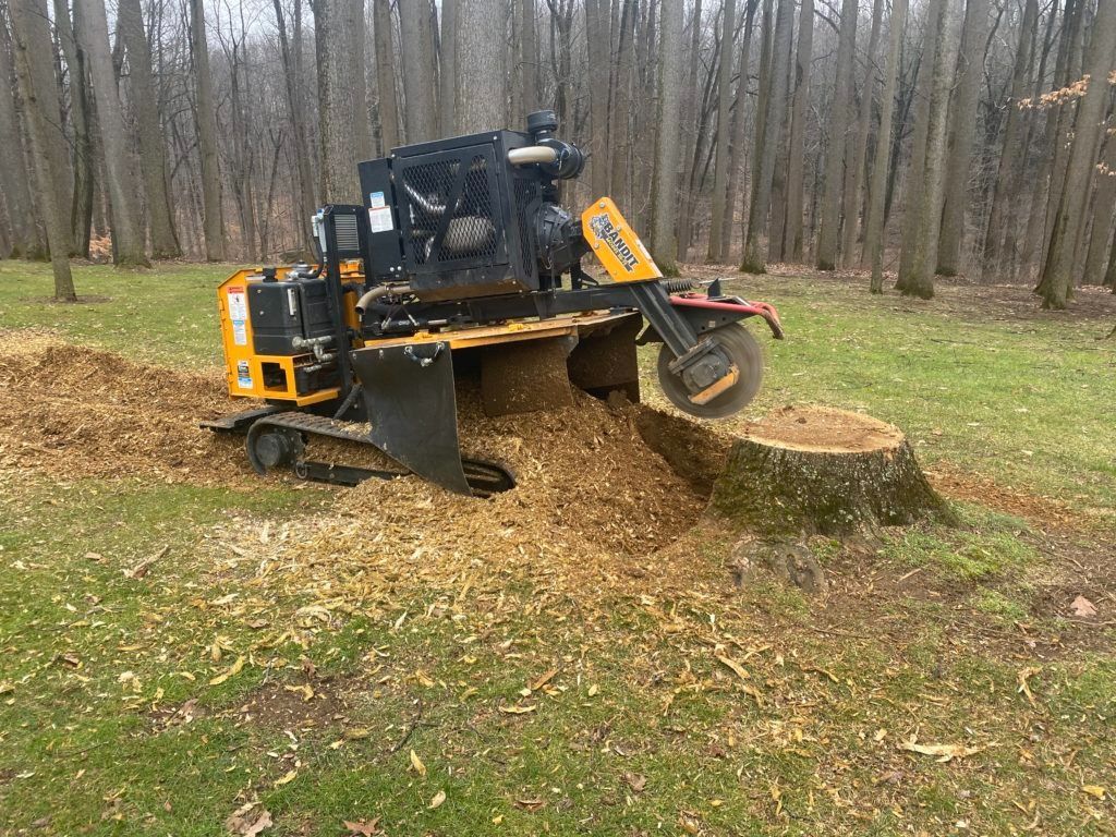 Stump Grinding for Blu-J Tree Care in Arlington, TX