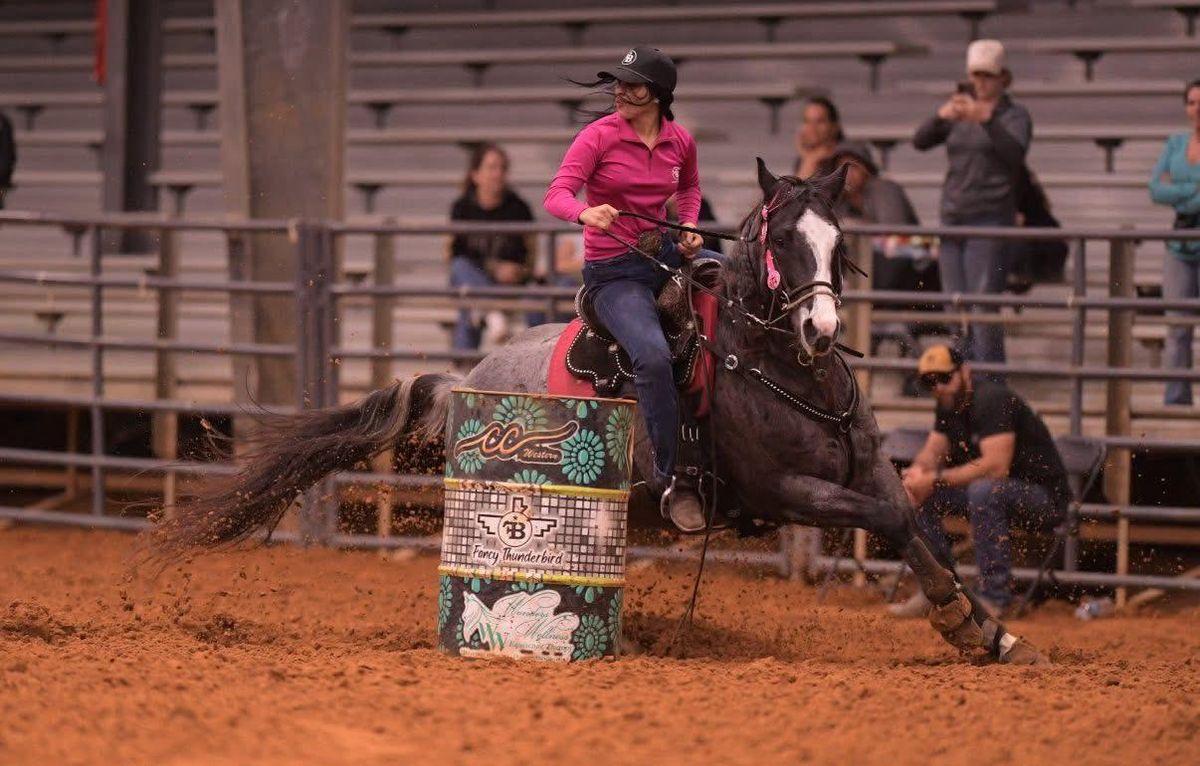 Arena Builds for Florida Native Equestrian Development in Central Florida, FL