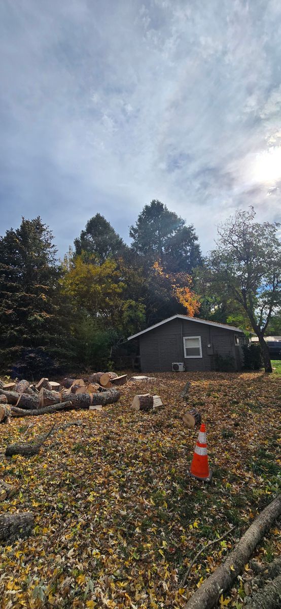 Storm Damage for George Staddan's Professional Tree Care in Placerville, CA