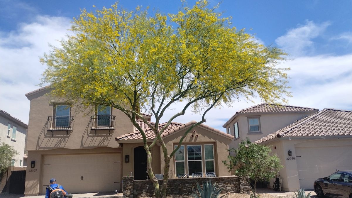 Maintenance and Repairs for Camacho AZ Landscaping LLC in Peoria, AZ