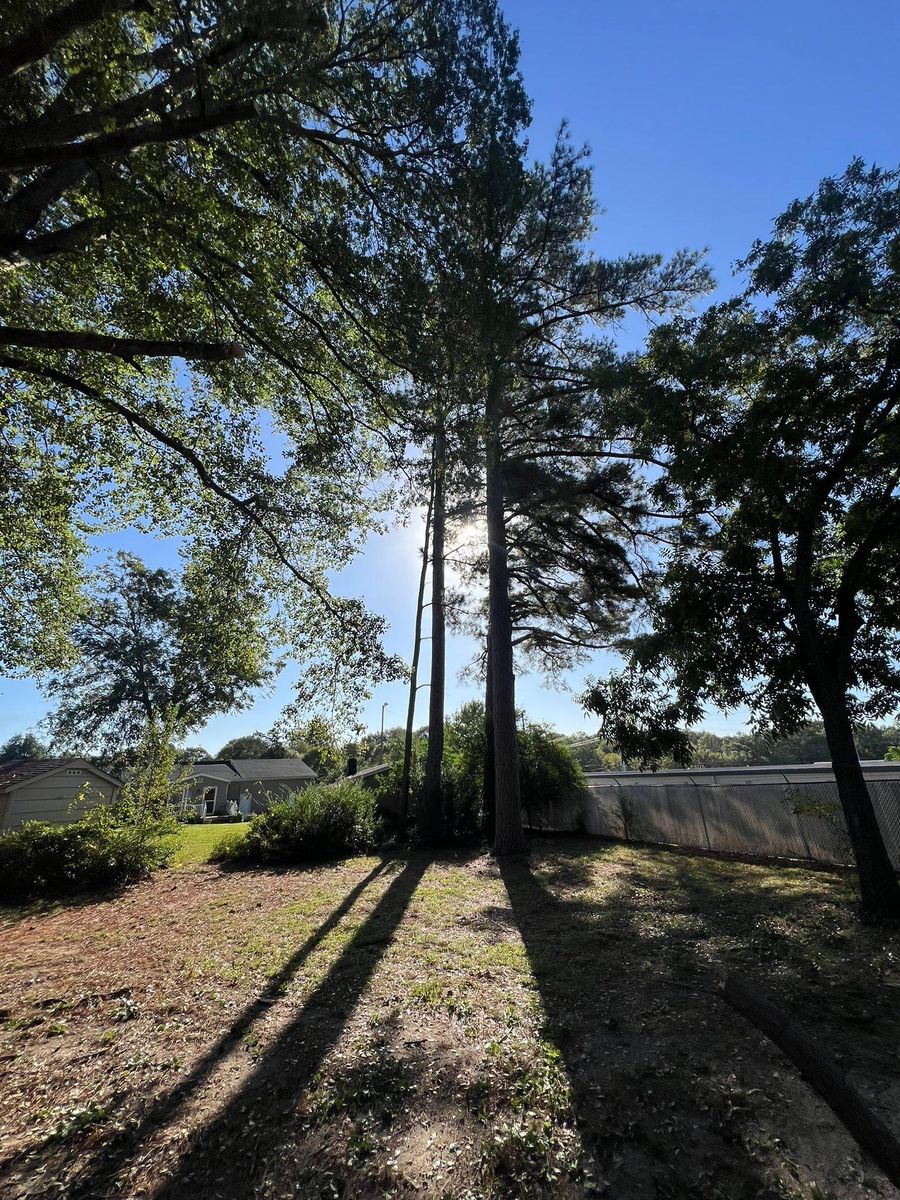 Fall Clean Up for Brooks Tree Service, LLC in Casar, NC