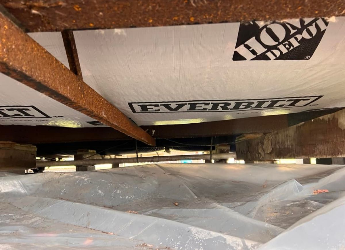 Crawl Space Maintenance for All Construction & Trapping in Shelby Township, MI