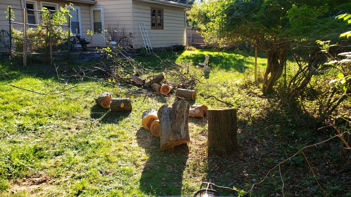 Tree Trimming & Removal for Land Movers in Kalamazoo County, MI