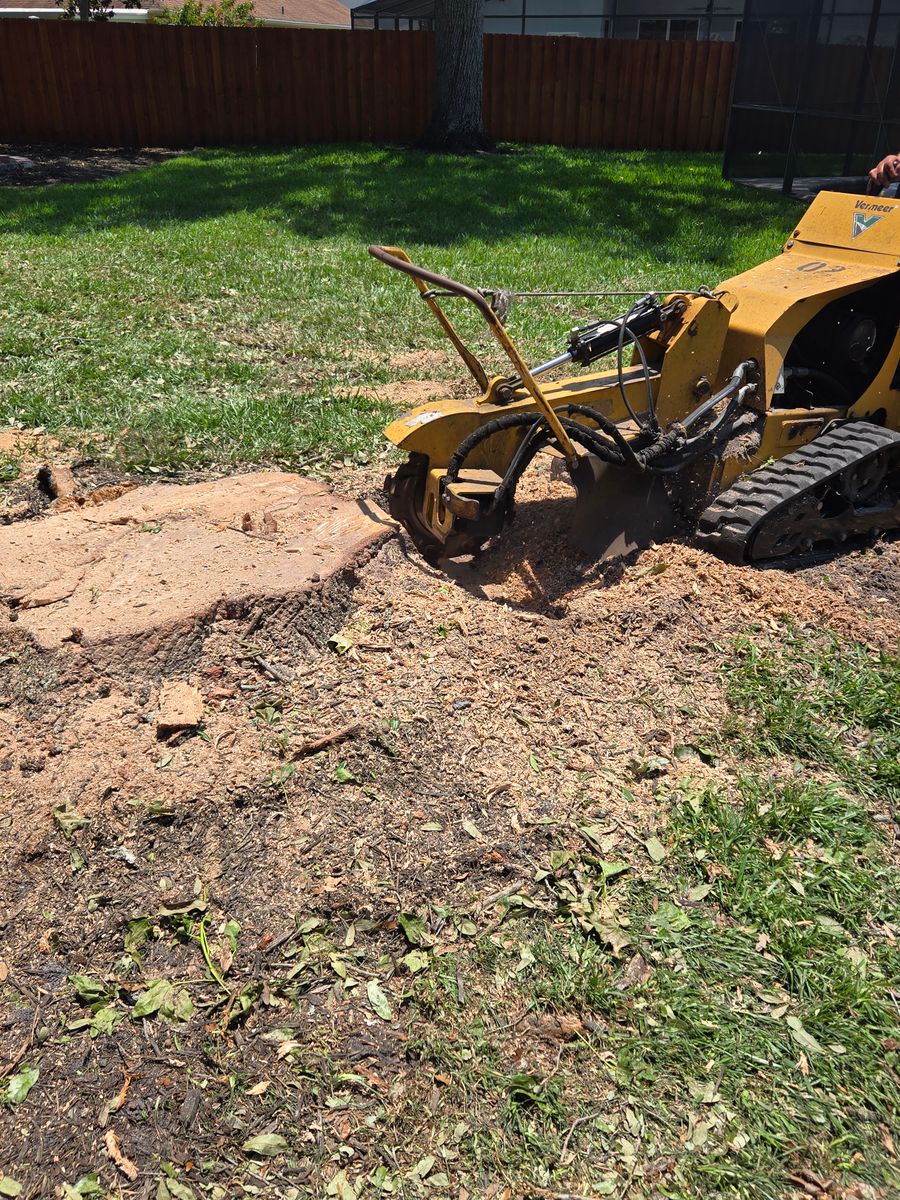 Stump Removal for Near Me Tree Service, Inc. in DeLand, FL