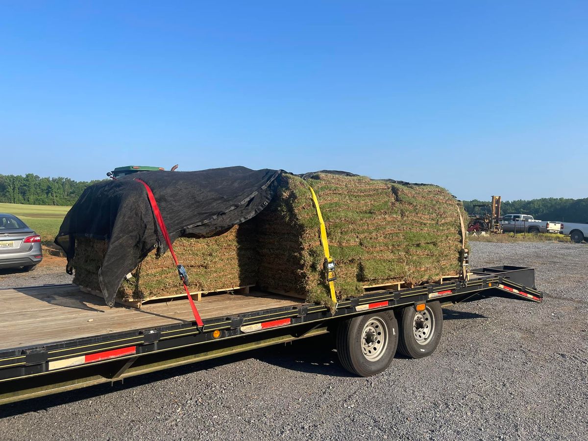 Sod Work for Greenwood Lawn & Landscaping LLC in Talladega, Alabama