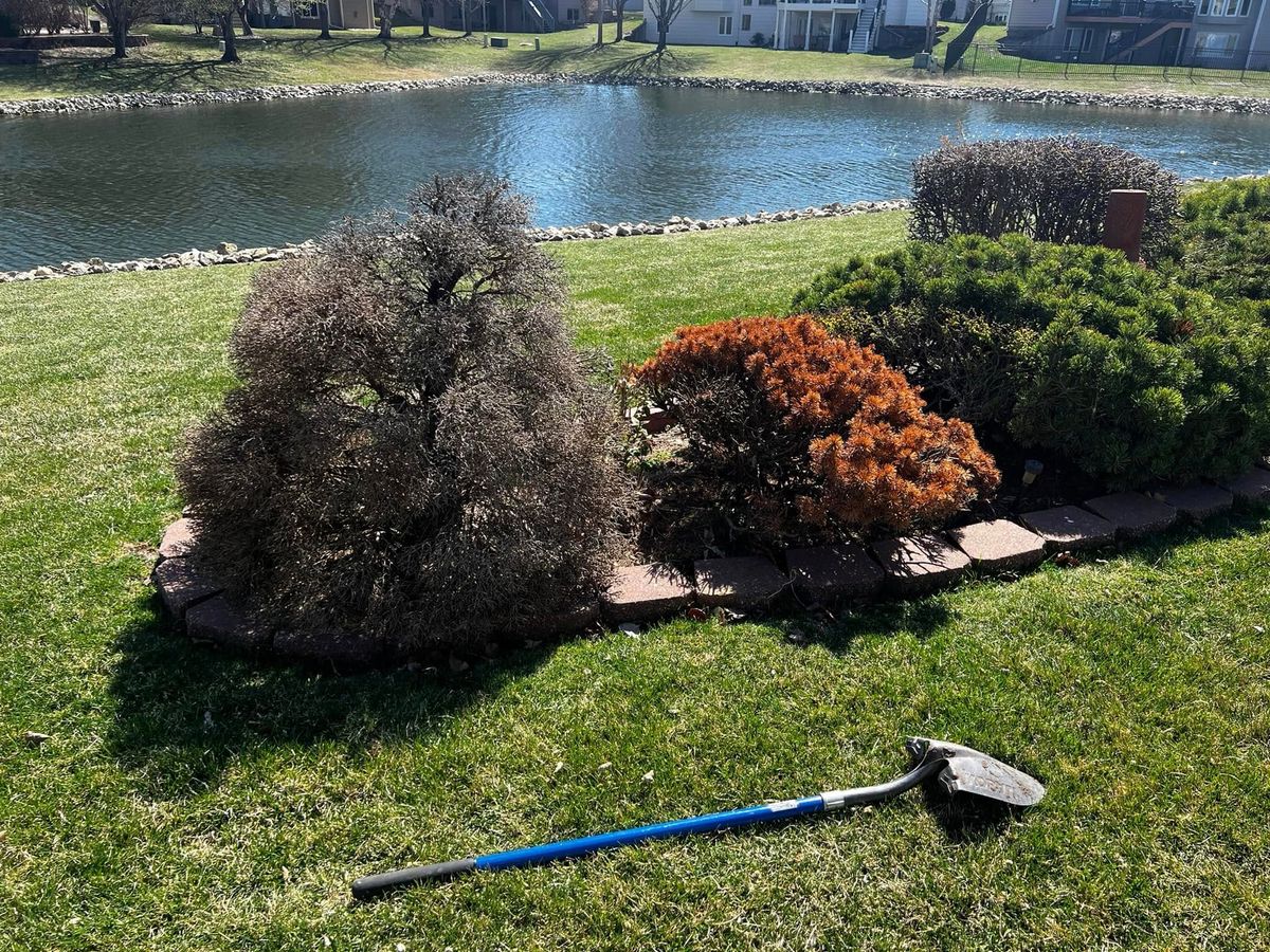 Landscape Installation for Macy Mowing in Wichita, KS