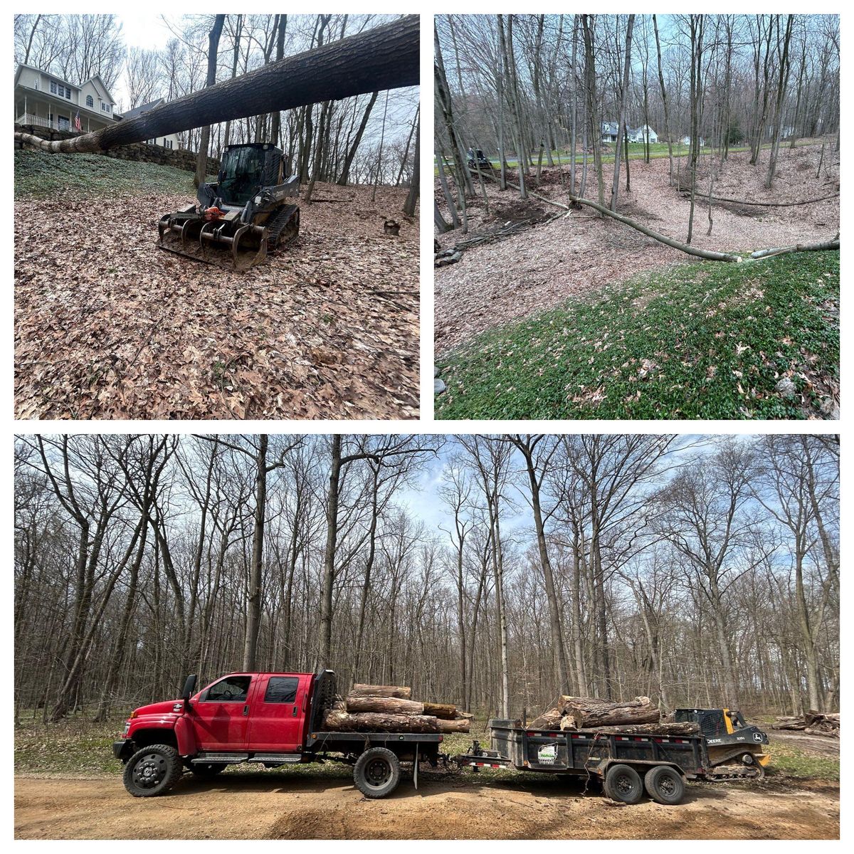 Forestry Mulching & Tree Removal for Palmer Property Services in Middleville, MI