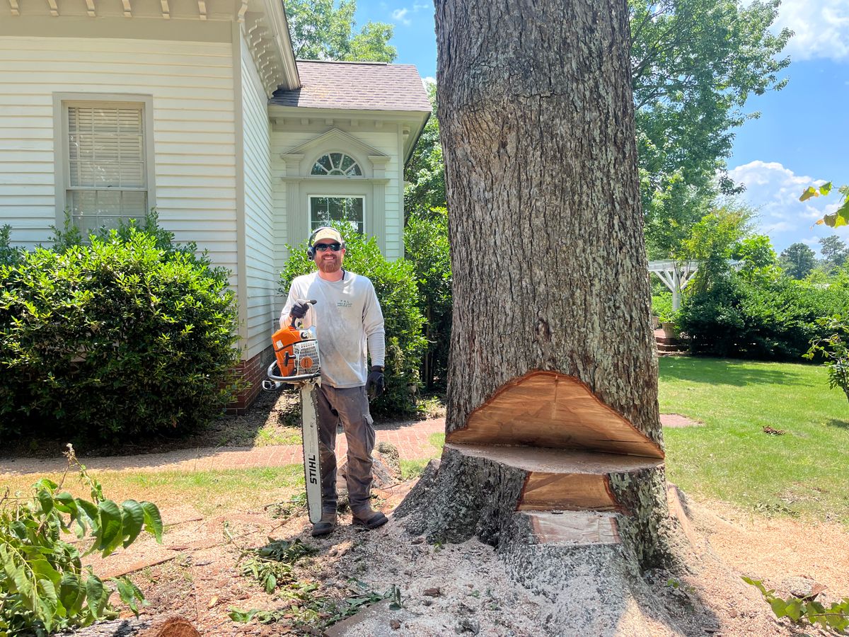Tree Trimming for T N L - Tree and Land Service in Reynolds, GA