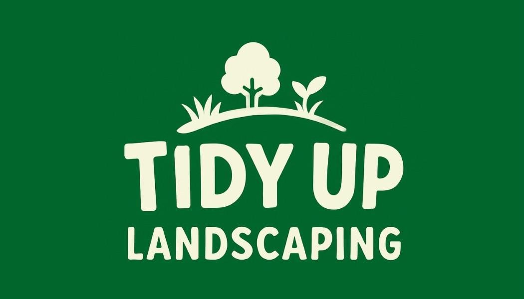 Other Services for Tidy Up Landscape and Design in Chandler, AZ