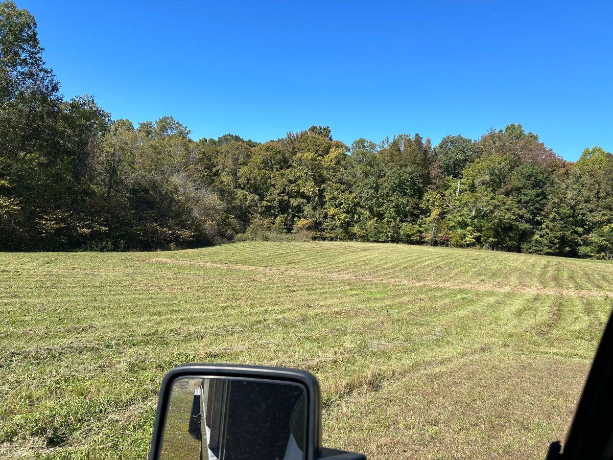 Bush Hog & Tree Work for Gallimore’s Lawn Care in Thomasville, NC