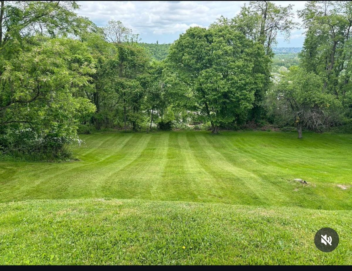 Spring & Fall Clean Up for Cam Yardz in Washington, PA